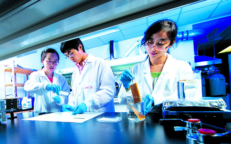 Students with transparent wood battery