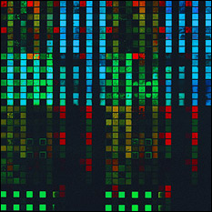 Combinatorial library