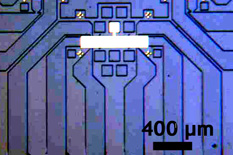 Tunable Anomalous Hall Effect in a Nonferromagnetic System